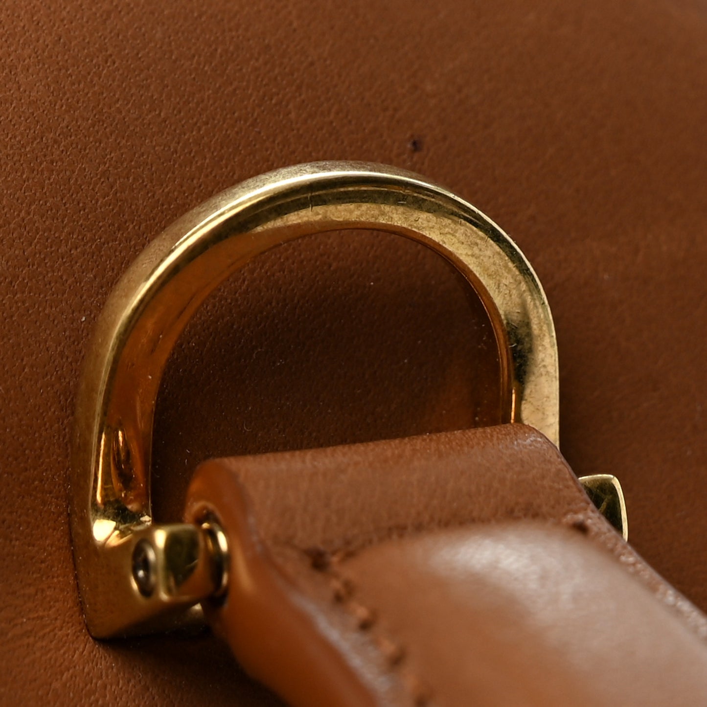 Canvas Calfskin Mini Gaby Vanity Case Desert Dust Brick