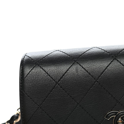 Chanel Calfskin Stitched Coco Curve Waist Bag Black 10 of 10