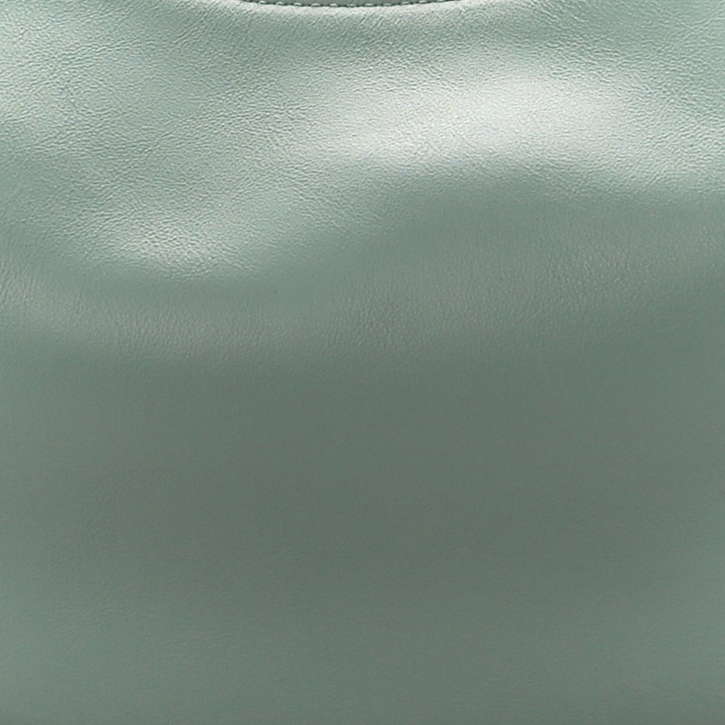 Vitello Grace Matte Small Fendigraphy Hobo Bag Menta