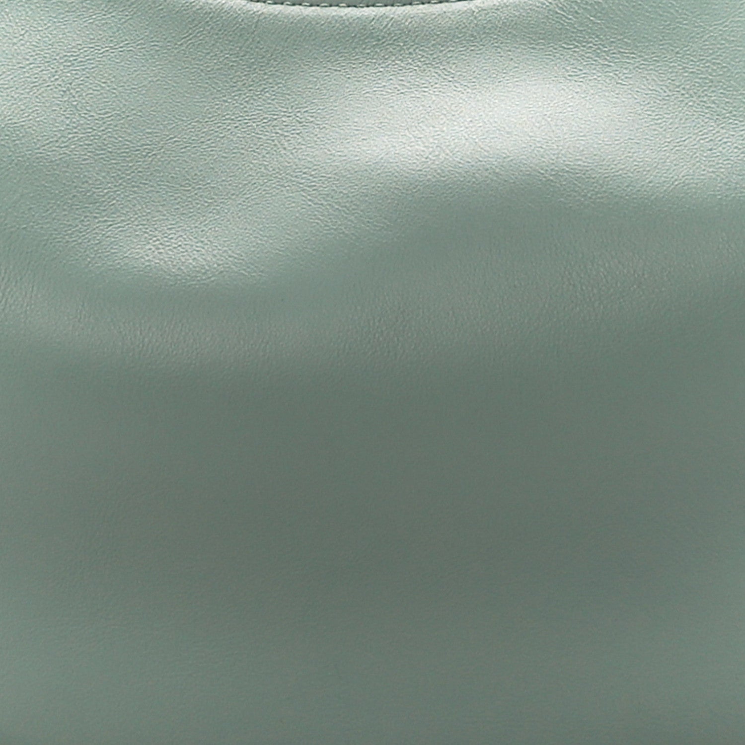 Fendi Vitello Grace Matte Small Fendigraphy Hobo Bag Menta 9 of 11