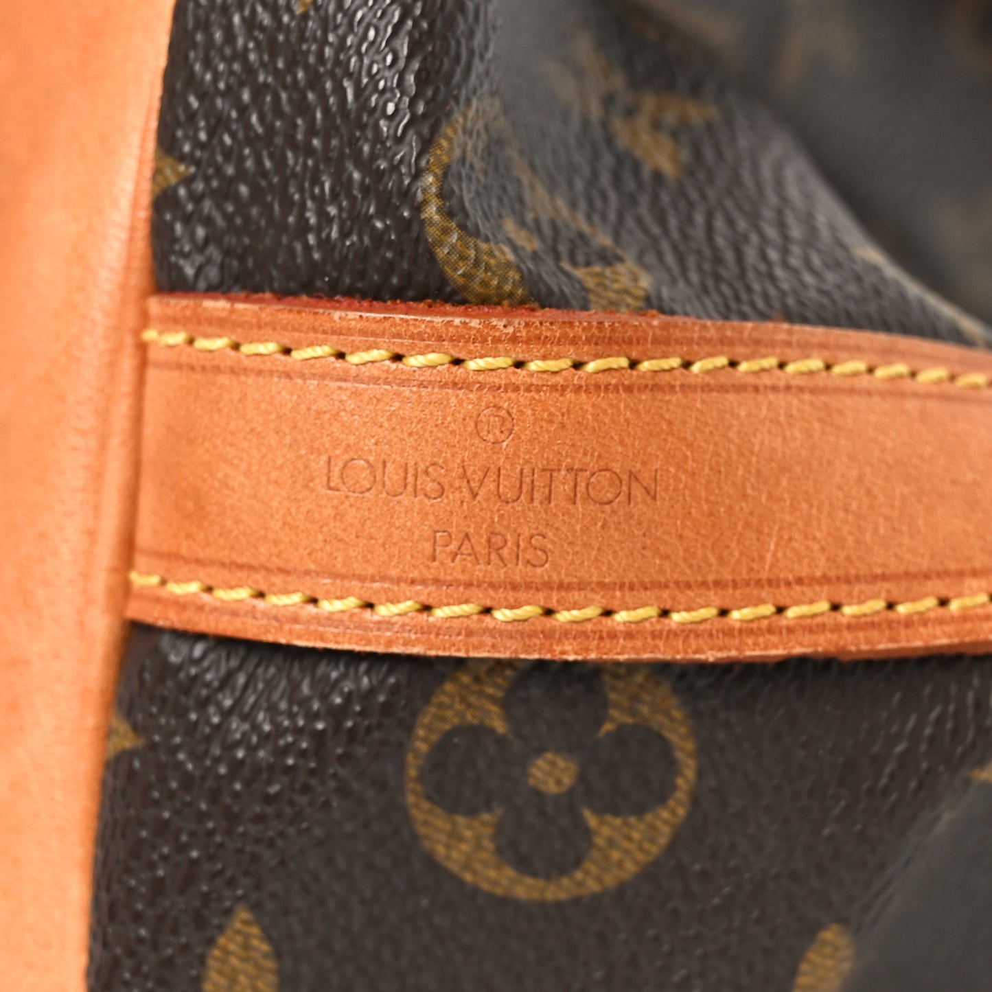 Monogram Petit Noe