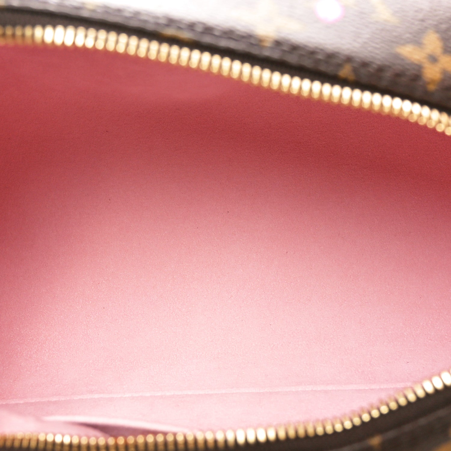 Louis Vuitton LV X TM Monogram Cherry Blossom Papillon Sakura Brown 5 of 10