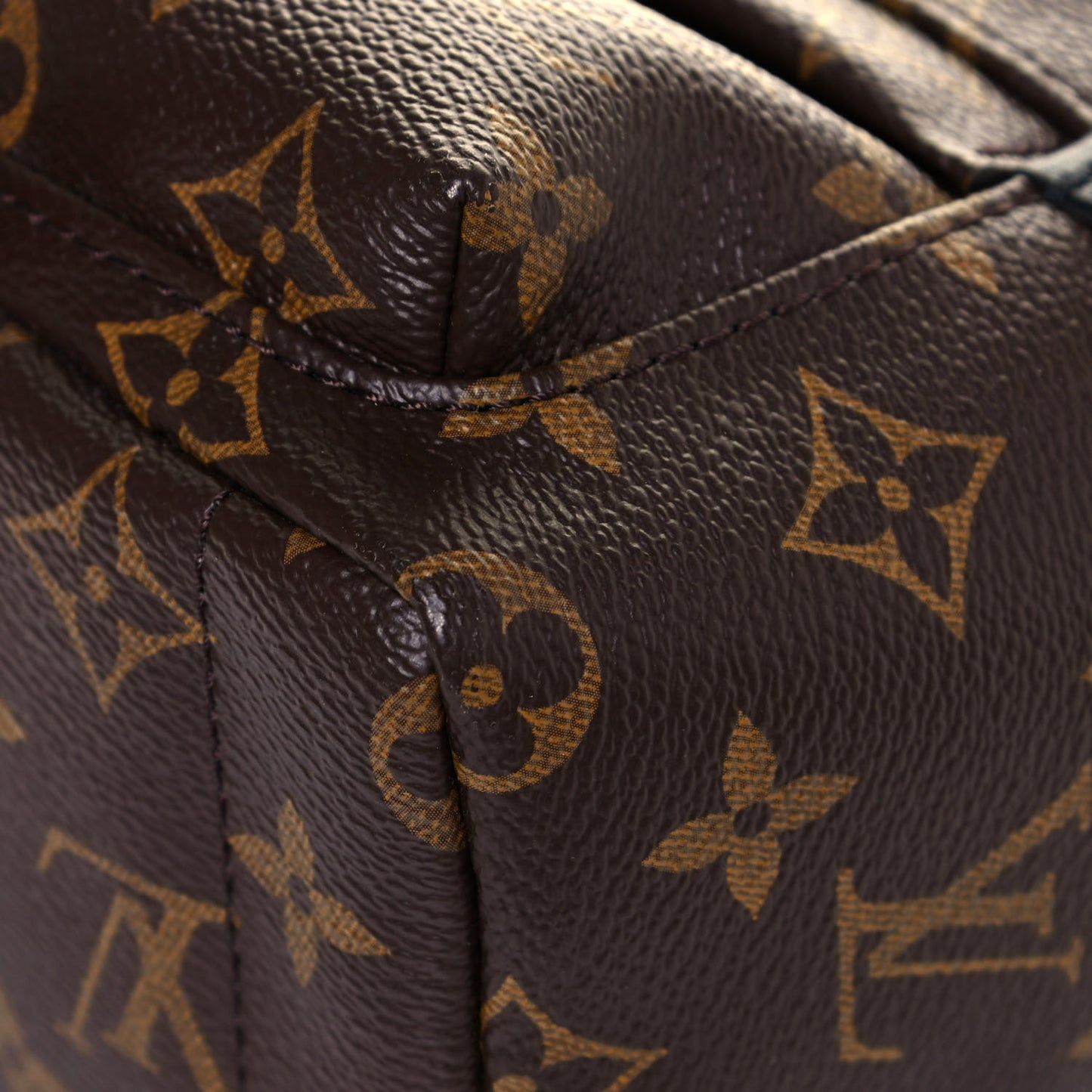 Monogram Palm Springs Backpack Mini