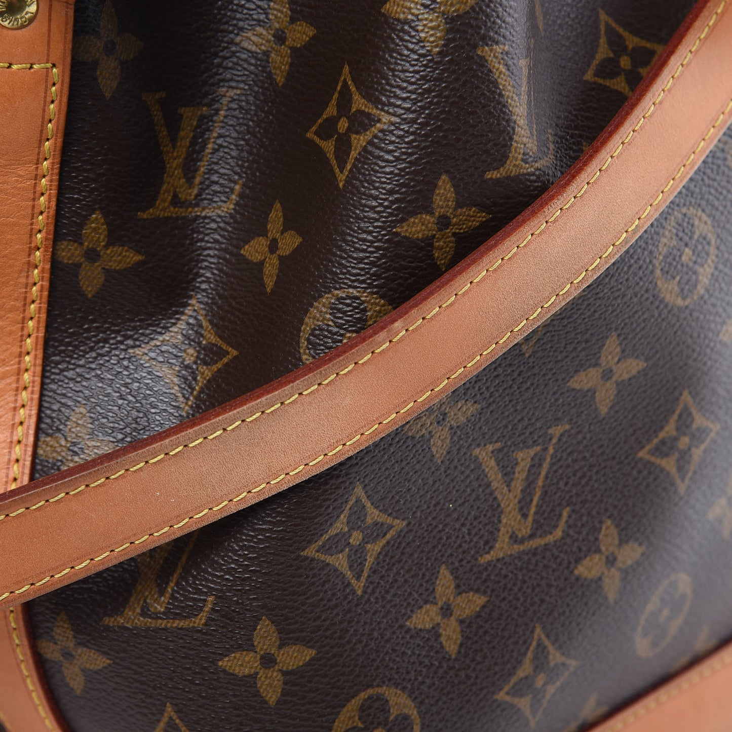 Monogram Petit Noe NM