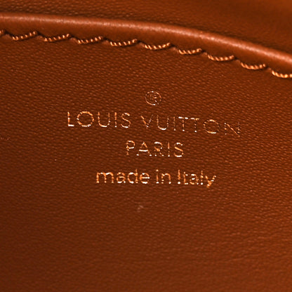 Louis Vuitton Lambskin Malletage Top Handle GO-14 MM Tan 6 of 9