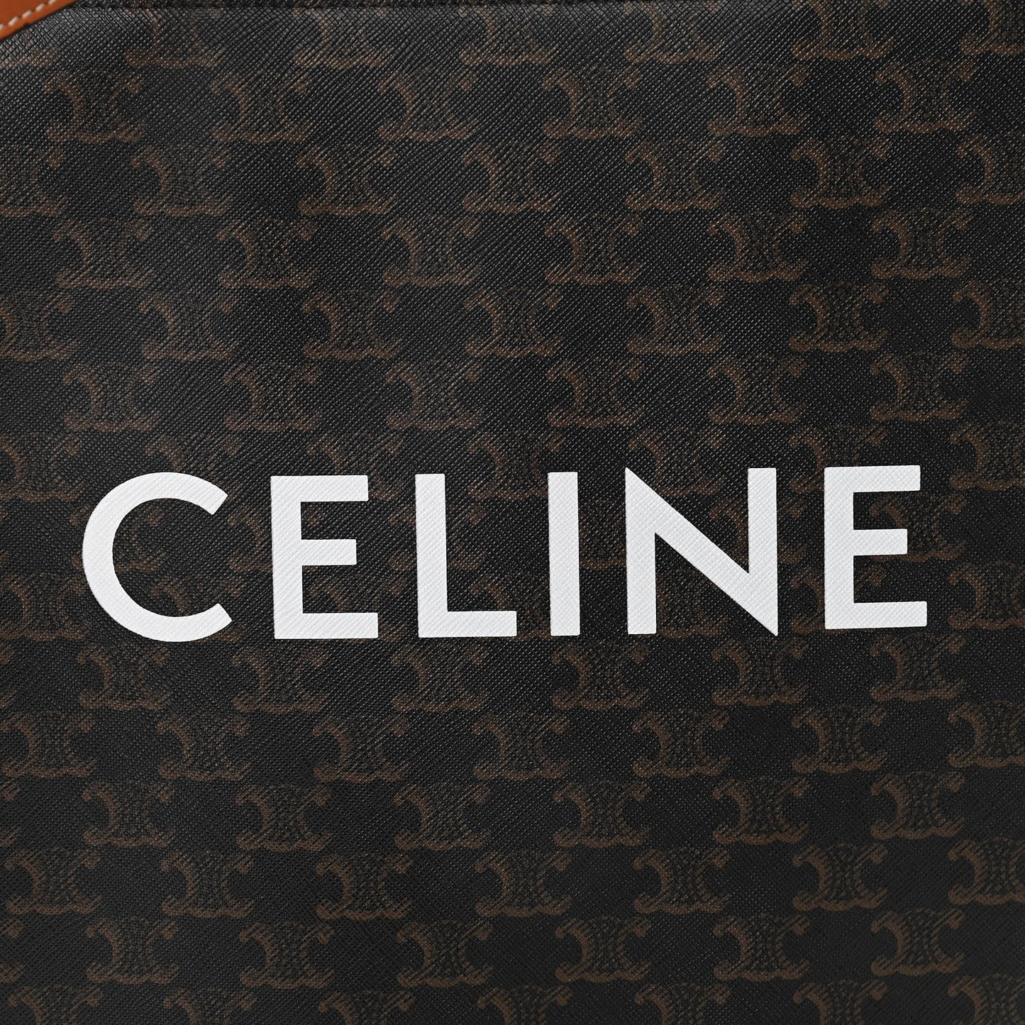 Triomphe Canvas Calfskin Small Vertical Cabas Tan