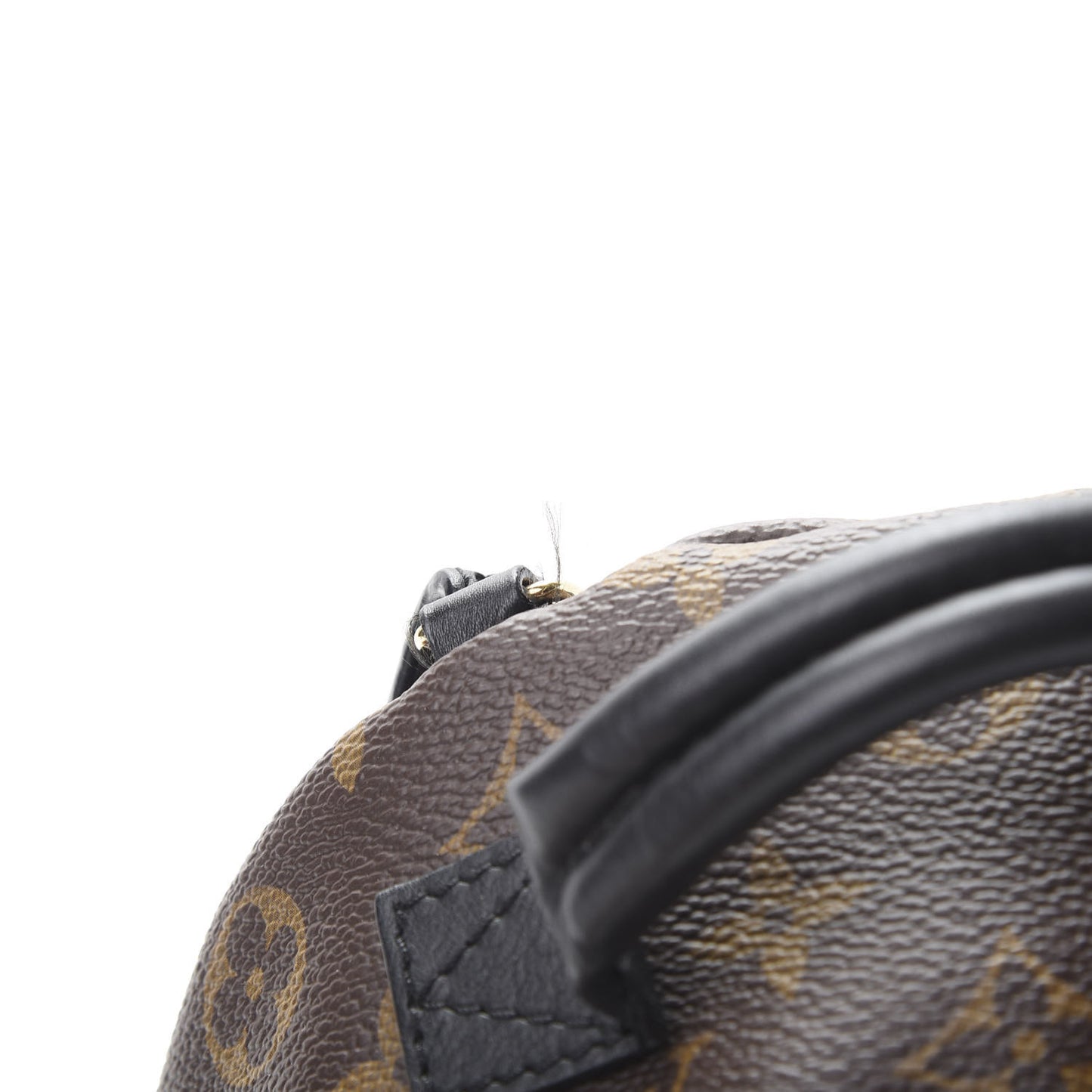 Monogram Palm Springs Backpack Mini