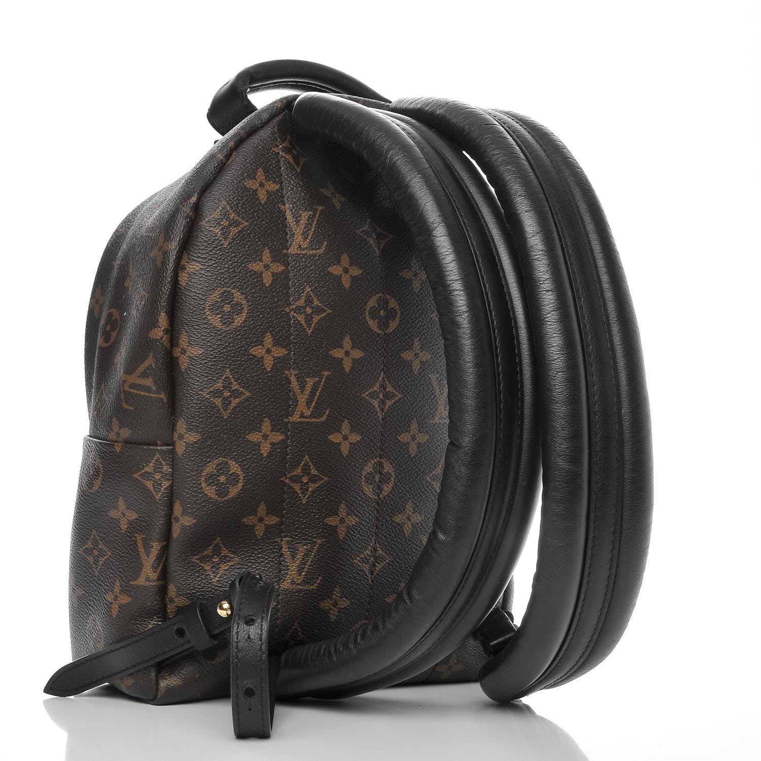 Louis Vuitton Monogram Palm Springs Backpack PM 3 of 9