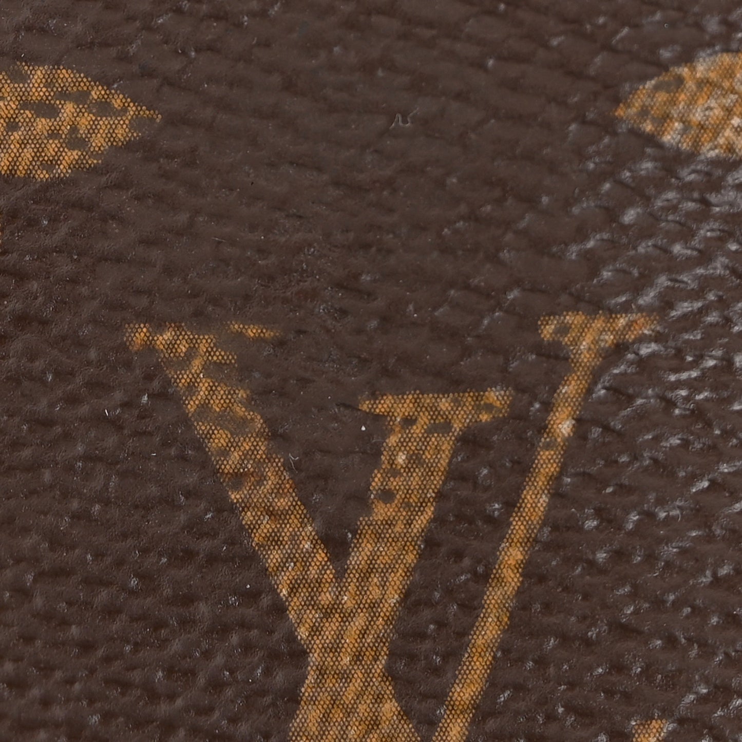 Monogram Mini Pochette Accessories