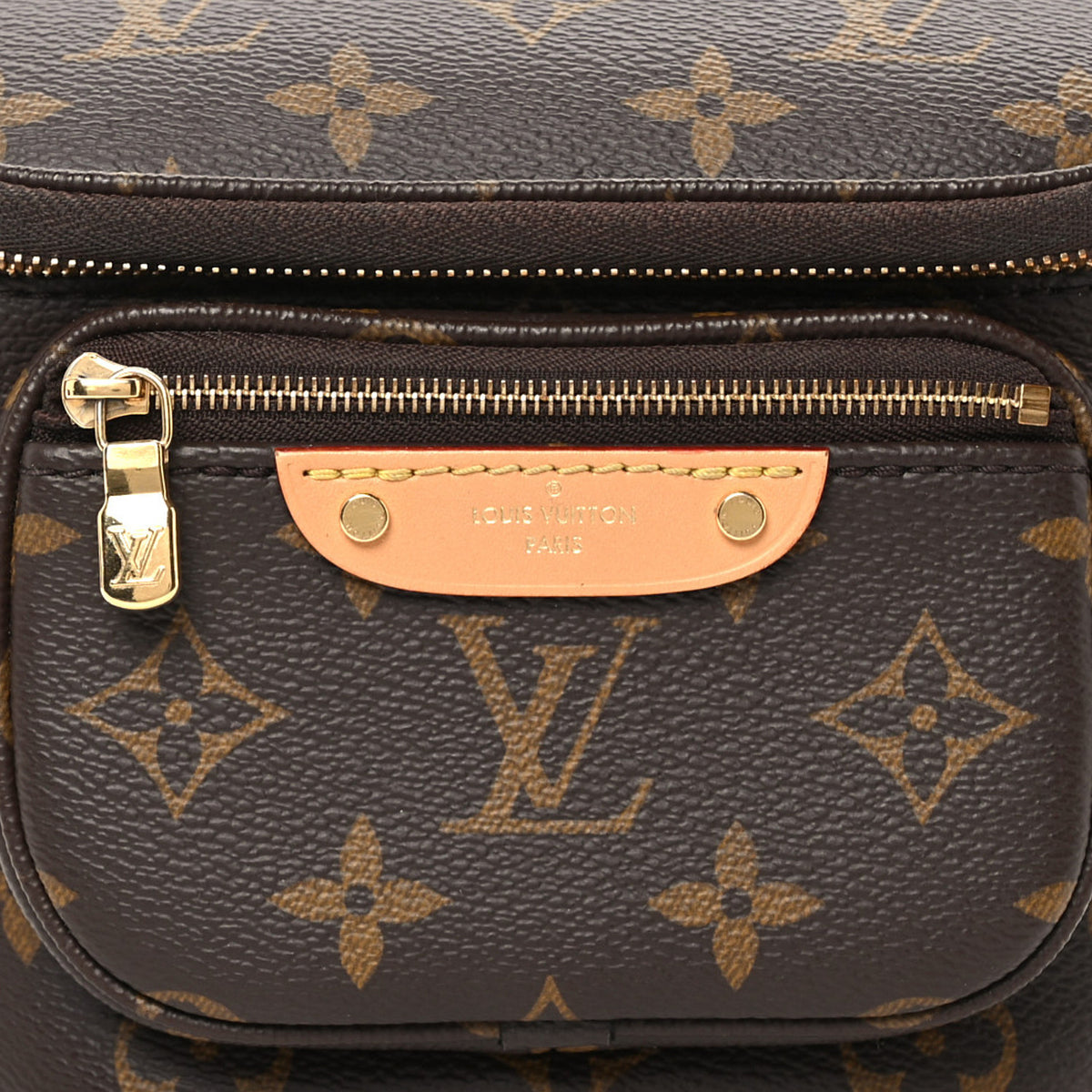 Louis Vuitton Monogram Mini Bumbag 7 of 9
