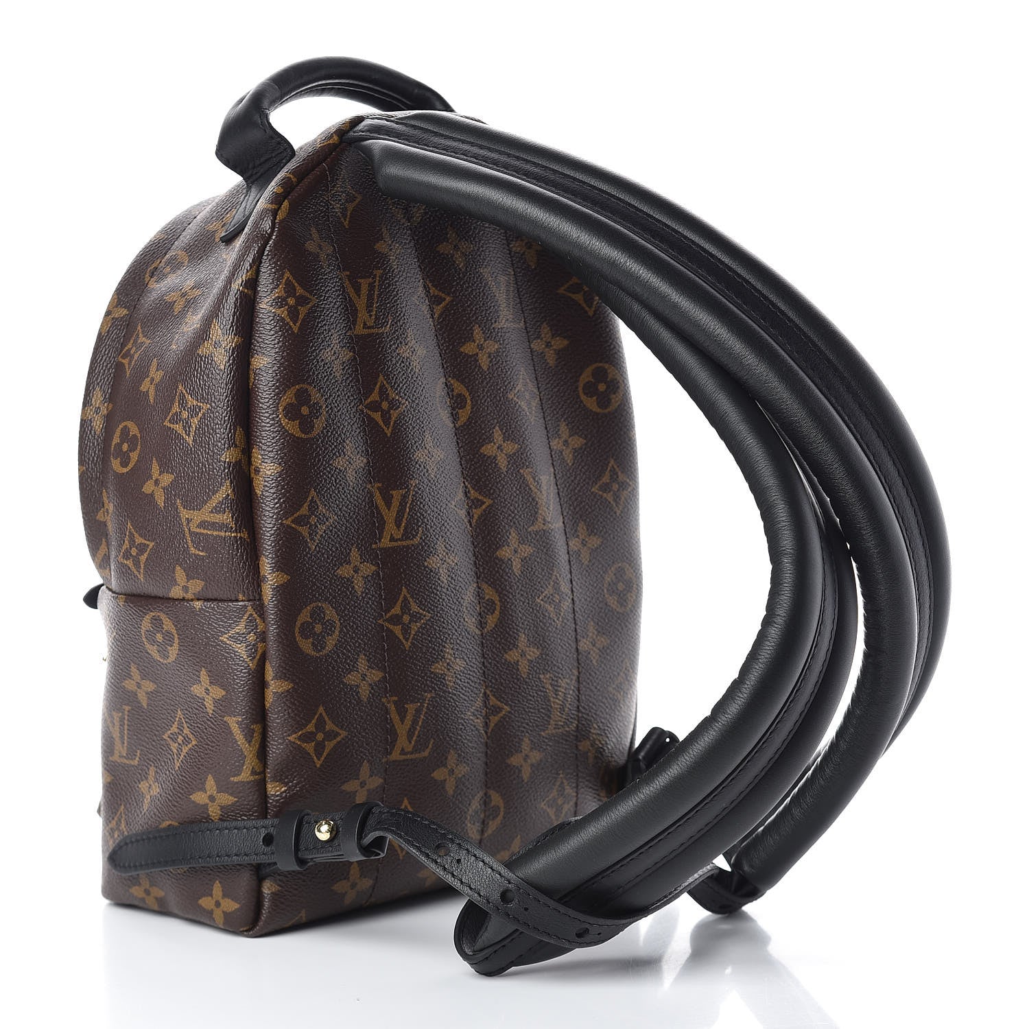 Louis Vuitton Monogram Palm Springs Backpack PM 3 of 10