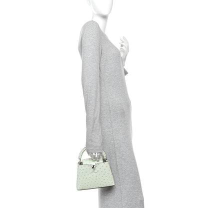 Louis Vuitton Ostrich Capucines Mini Vert Celadon 2 of 11