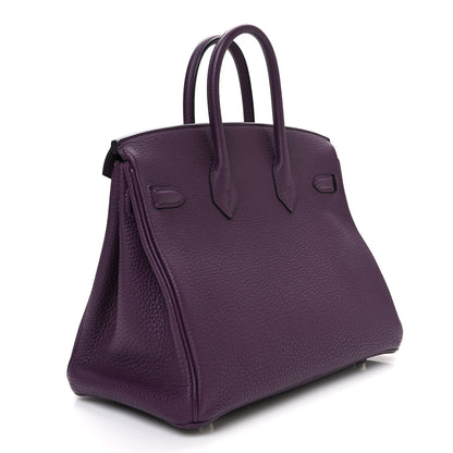 Hermes Togo Birkin 25 Cassis 3 of 10