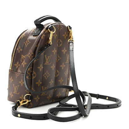 Louis Vuitton Monogram Palm Springs Backpack Mini 3 of 11
