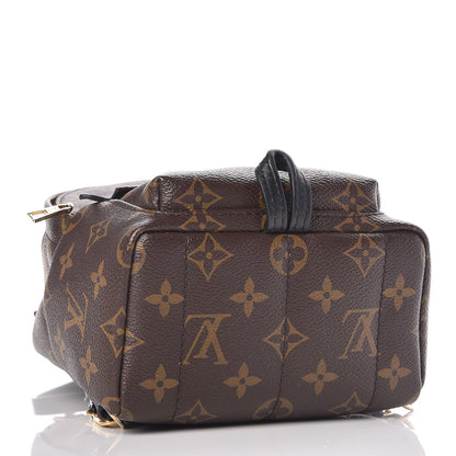 Louis Vuitton Monogram Palm Springs Backpack Mini 7 of 12