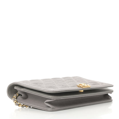 Chanel Caviar Quilted Boy Wallet On Chain WOC Grey 4 of 13