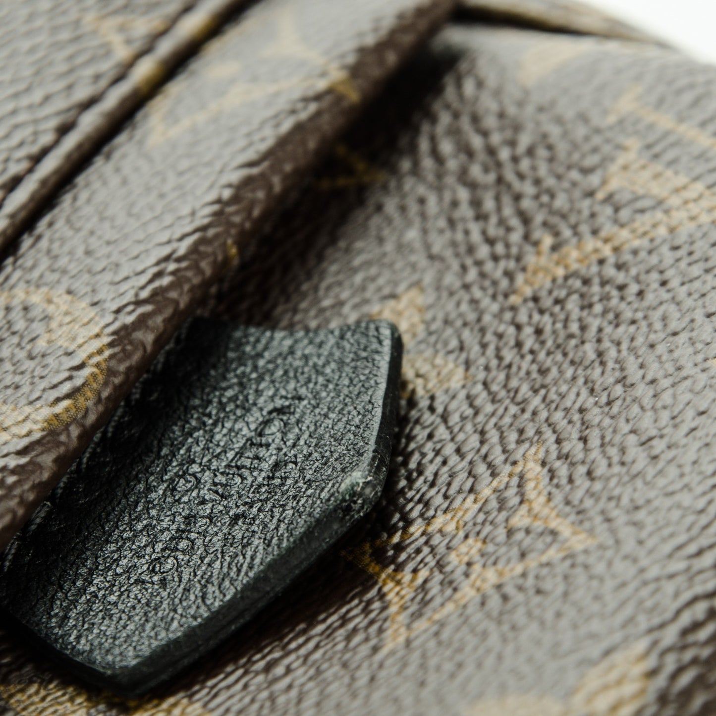 Monogram Palm Springs Backpack Mini
