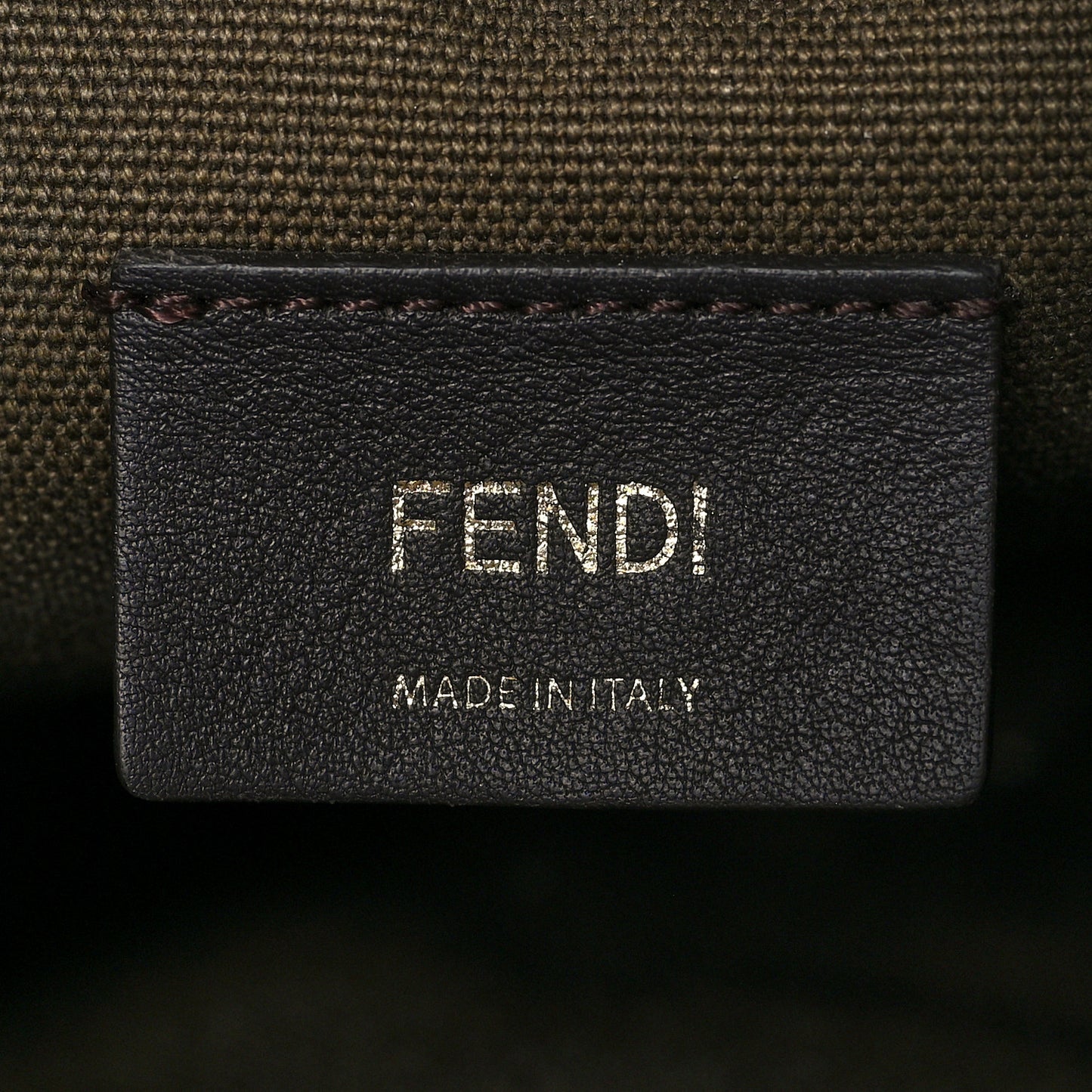 Canvas Vitello King F is Fendi FF Embroidered Mini Mon Tresor Bucket Bag Amazzonia Cuoio