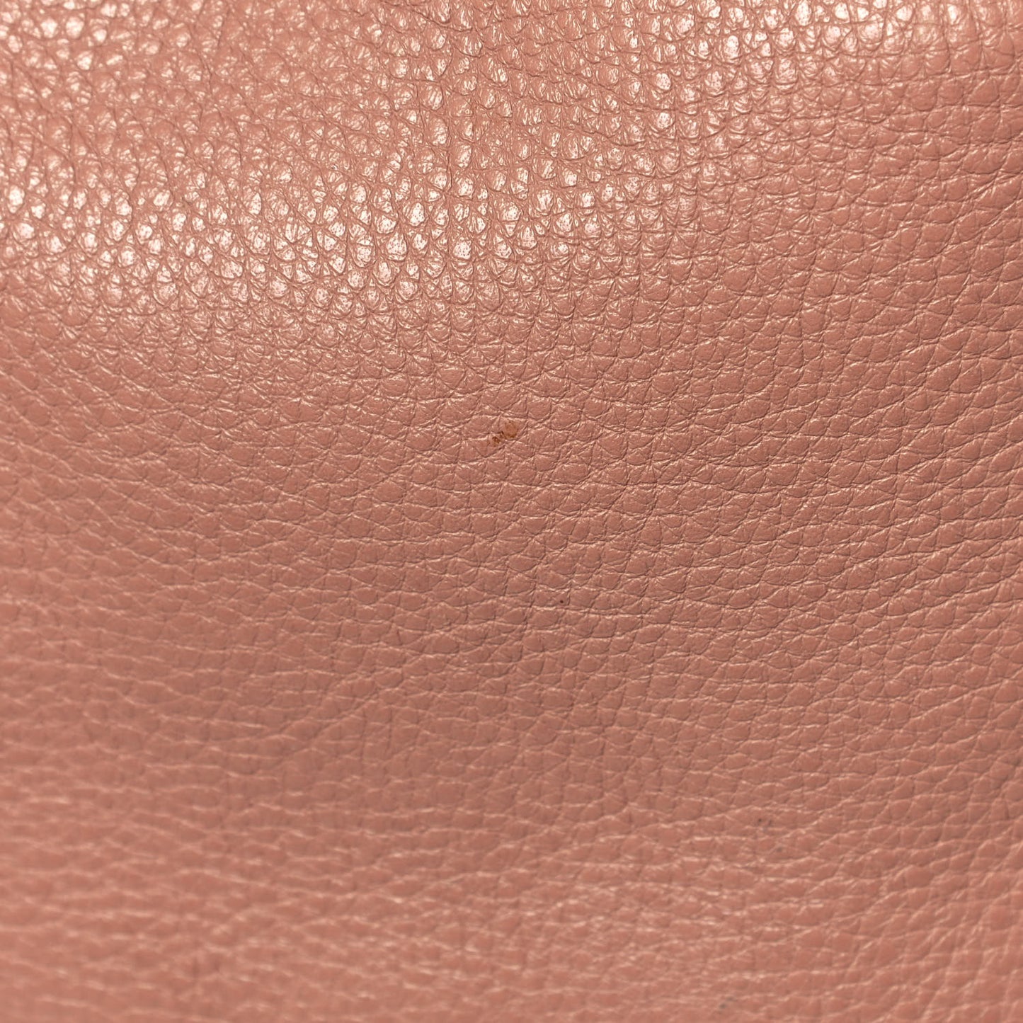 Calfskin Medium Marcie Hobo Nude