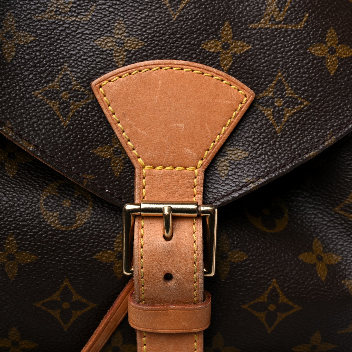 Monogram Montsouris GM Backpack