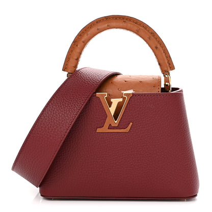 Louis Vuitton Taurillon Ostrich Mini Capucines Griotte Red Honey 1 of 7