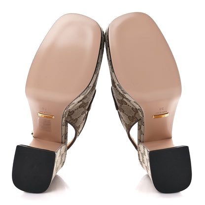 Gucci Monogram Goatskin Horsebit Clog Mules 36 Beige Ebony New Acero 5 of 9