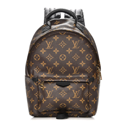Louis Vuitton Monogram Palm Springs Backpack PM 1 of 8
