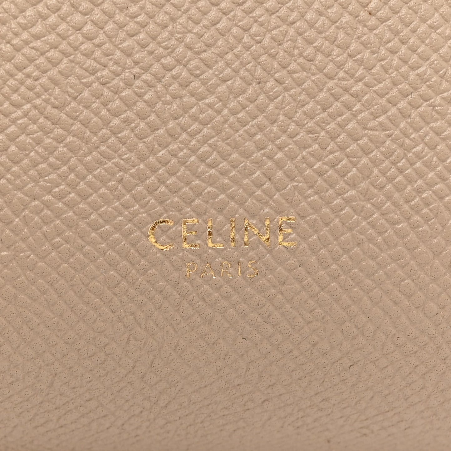 Grained Calfskin Micro Belt Bag Light Taupe