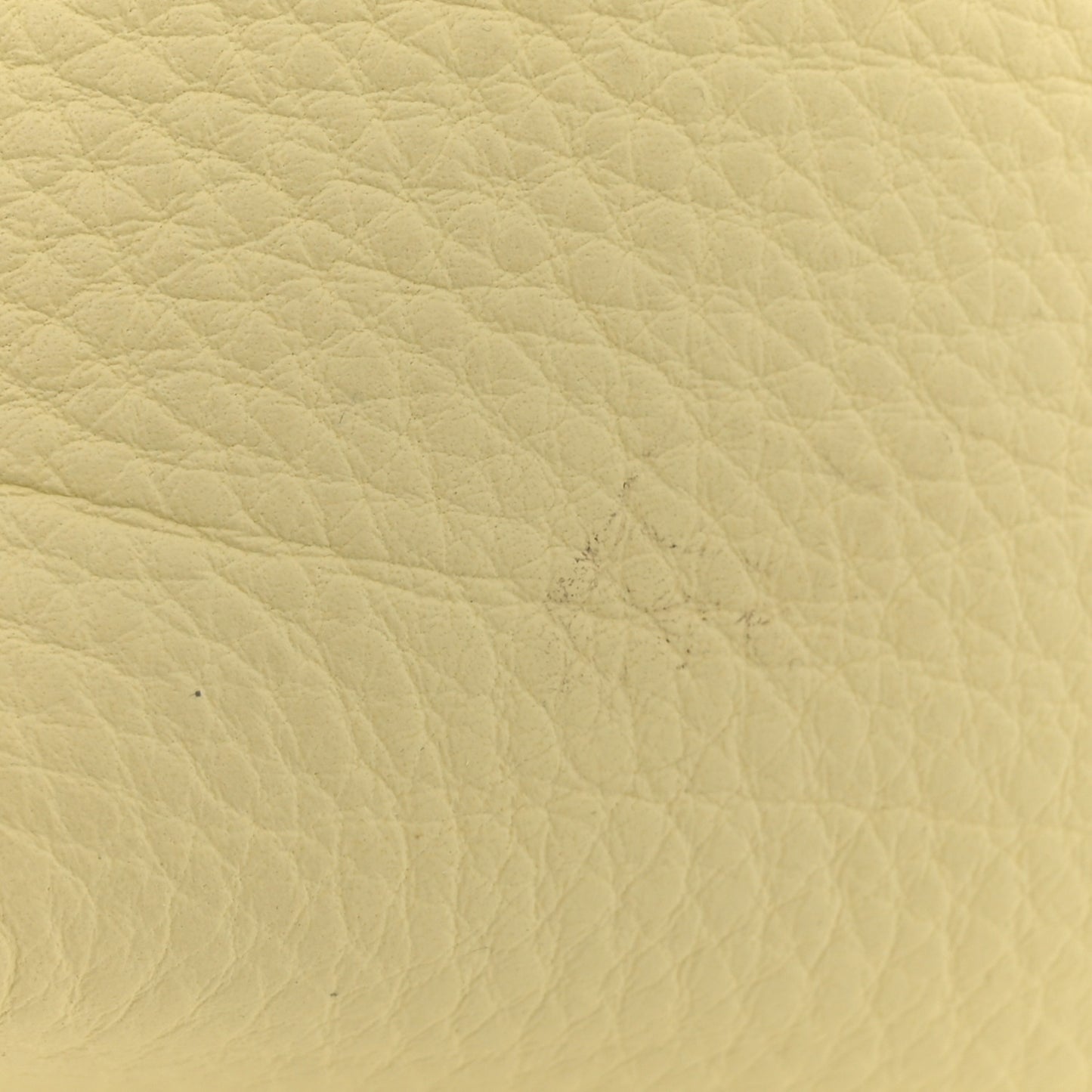 Grained Calfskin Small N/S Park Tote Lemon Sorbet