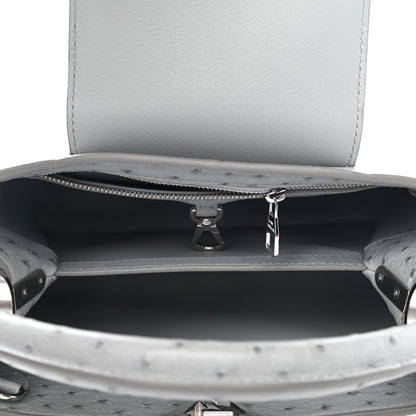 Louis Vuitton Ostrich Capucines BB Gris 6 of 10