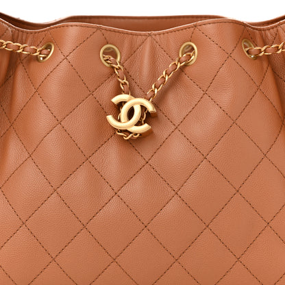 Chanel Caviar Quilted Small Chanel 25 Handbag Brown 8 of 10