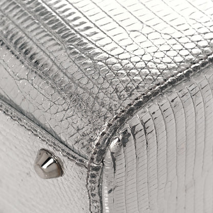 Christian Dior Metallic Lizard Mini Lady Dior Silver 8 of 18