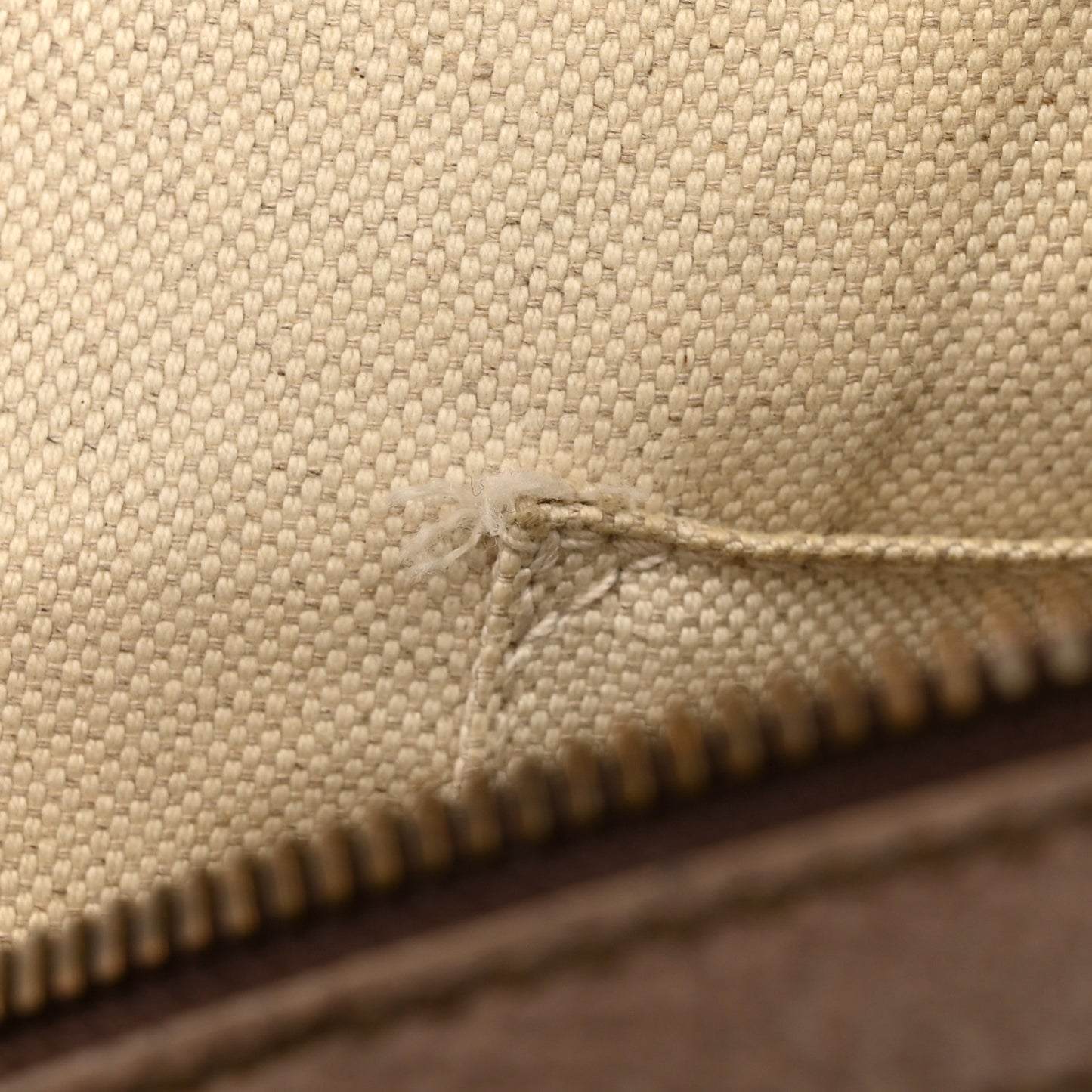 GG Supreme Monogram Calfskin Web Small Ophidia Day Backpack Beige Ebony New Acero