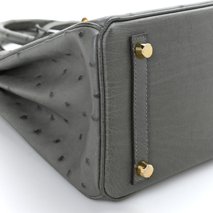 Hermes Ostrich Birkin 25 Gris Meyer 7 of 9