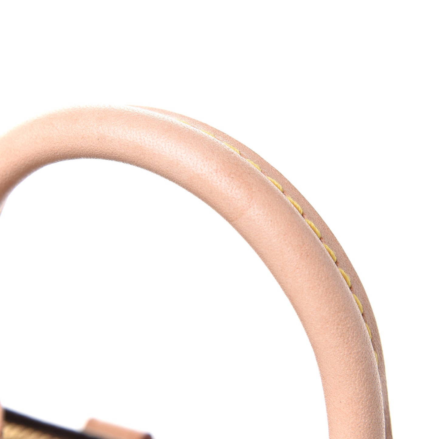 Monogram Nano Speedy