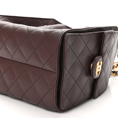 Chanel Caviar Quilted Small Chanel 25 Handbag Dark Brown 10 of 11