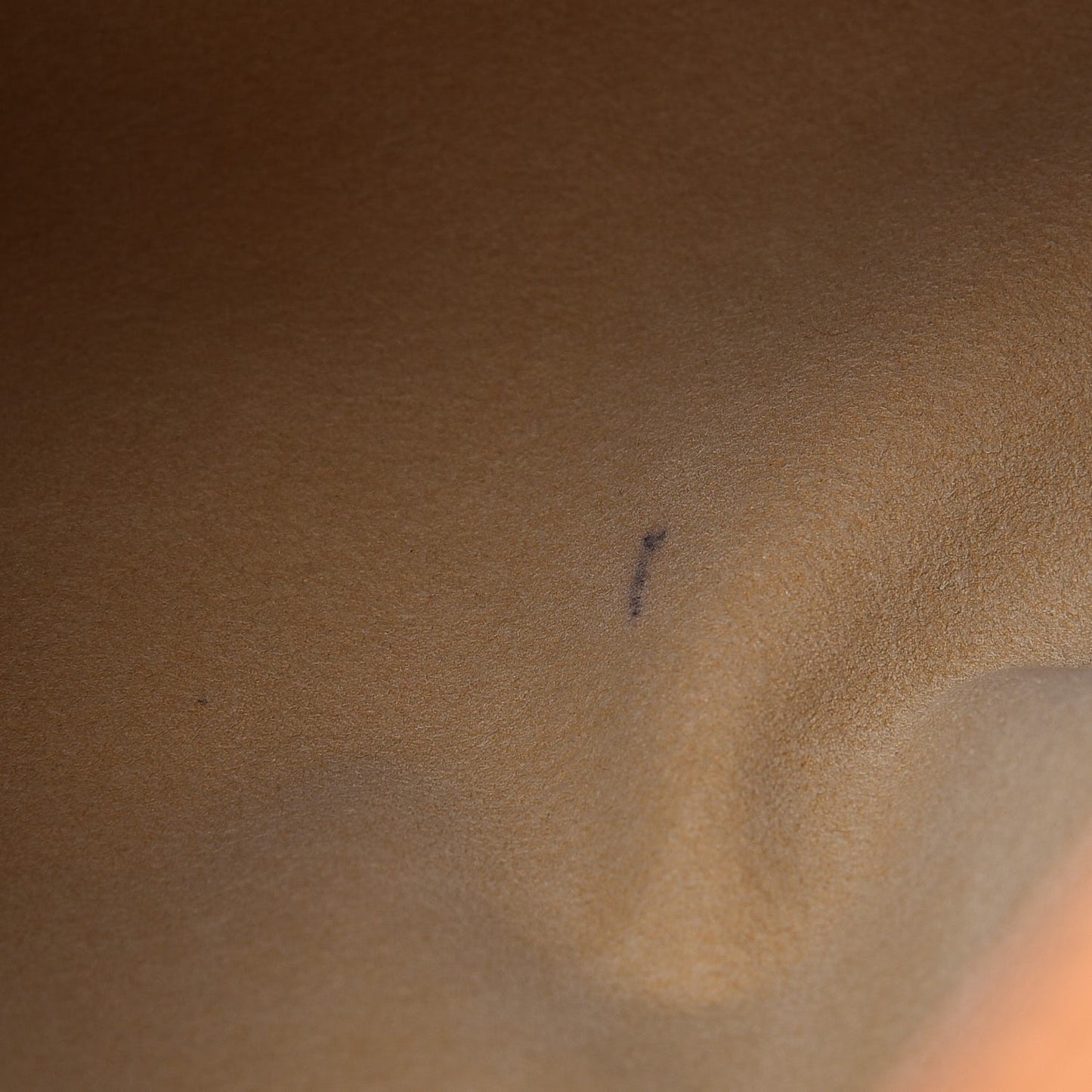 Monogram Galliera PM