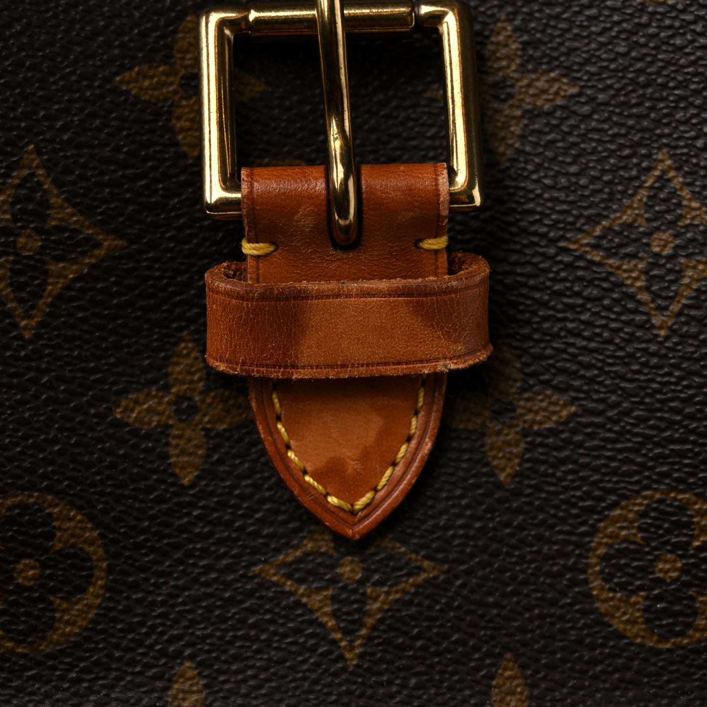 Monogram Montsouris GM Backpack