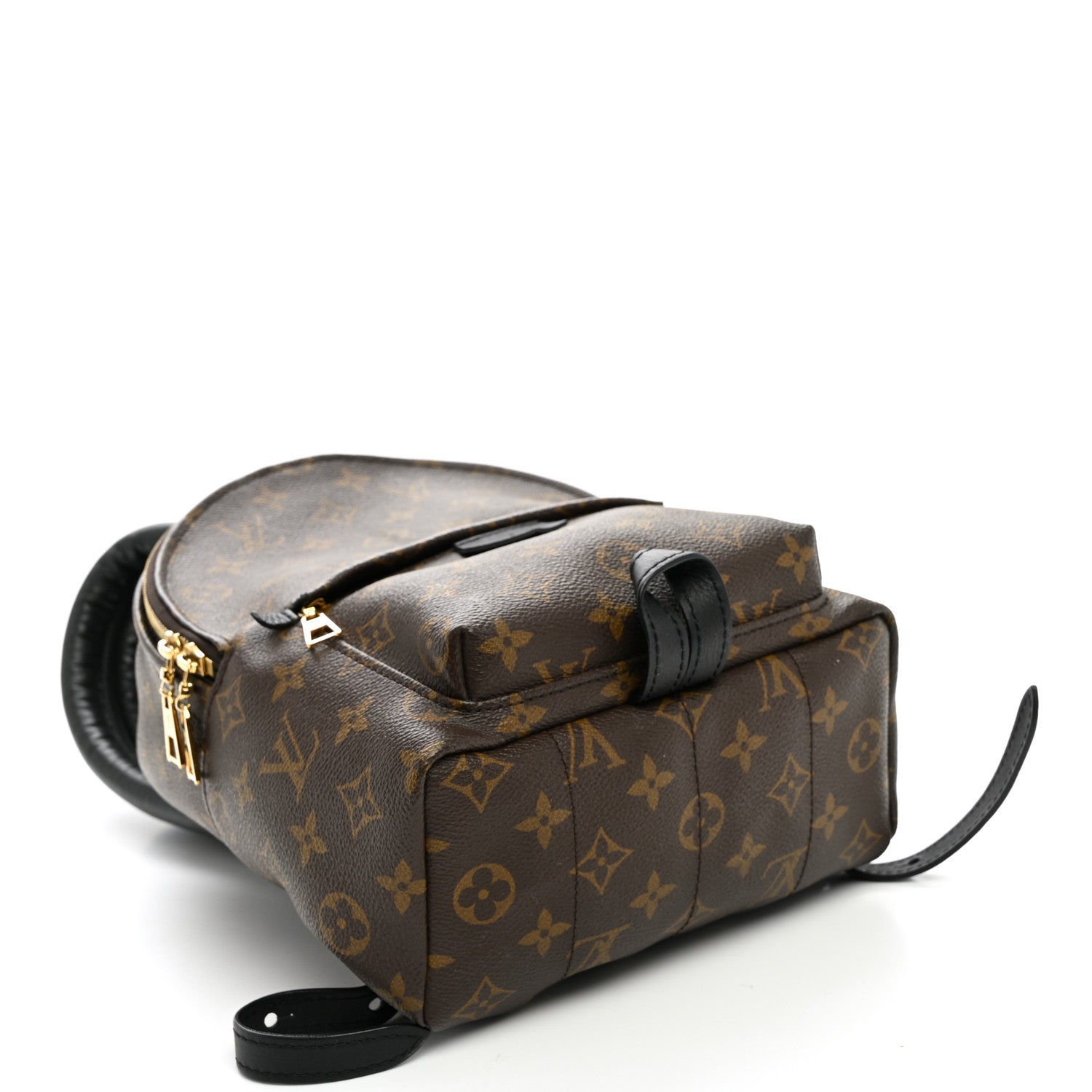 Louis Vuitton Monogram Palm Springs Backpack PM 3 of 9