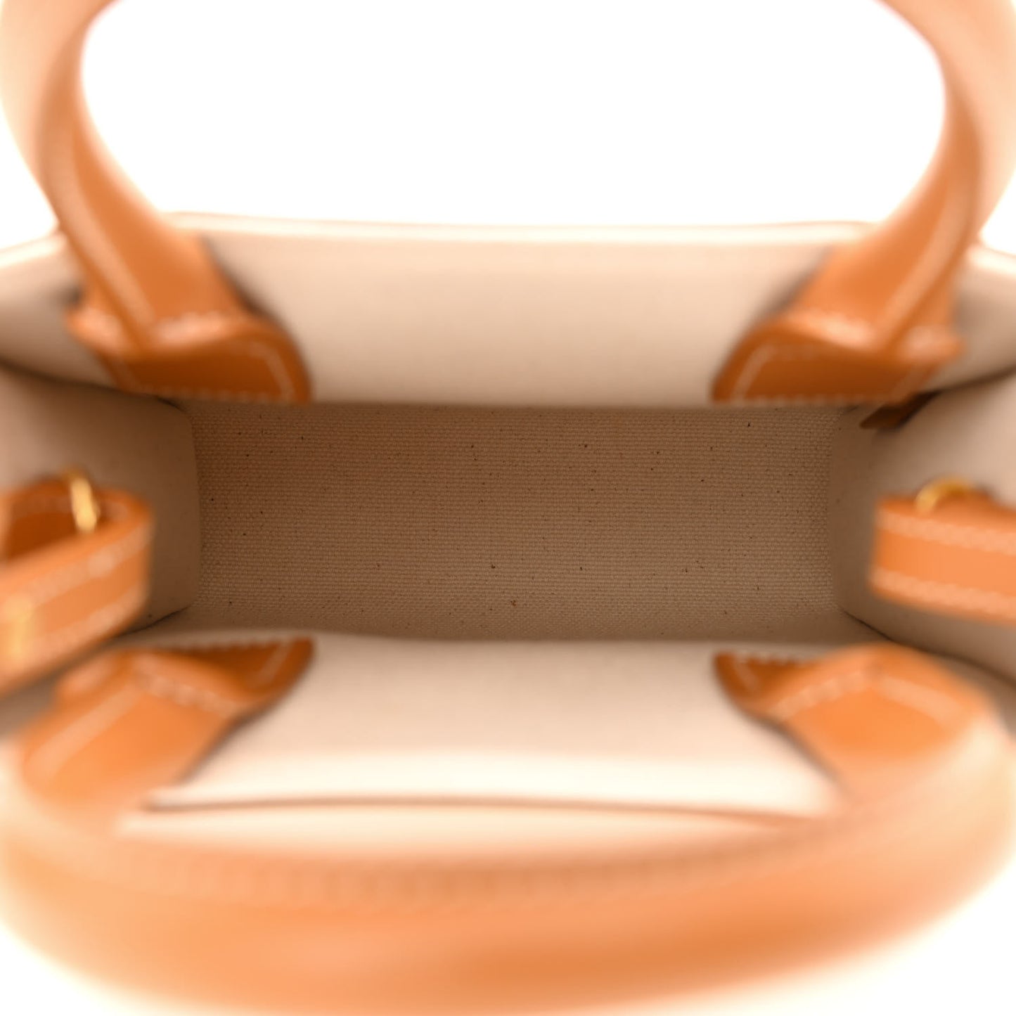 Canvas Calfskin Mini Vertical Cabas Natural Tan