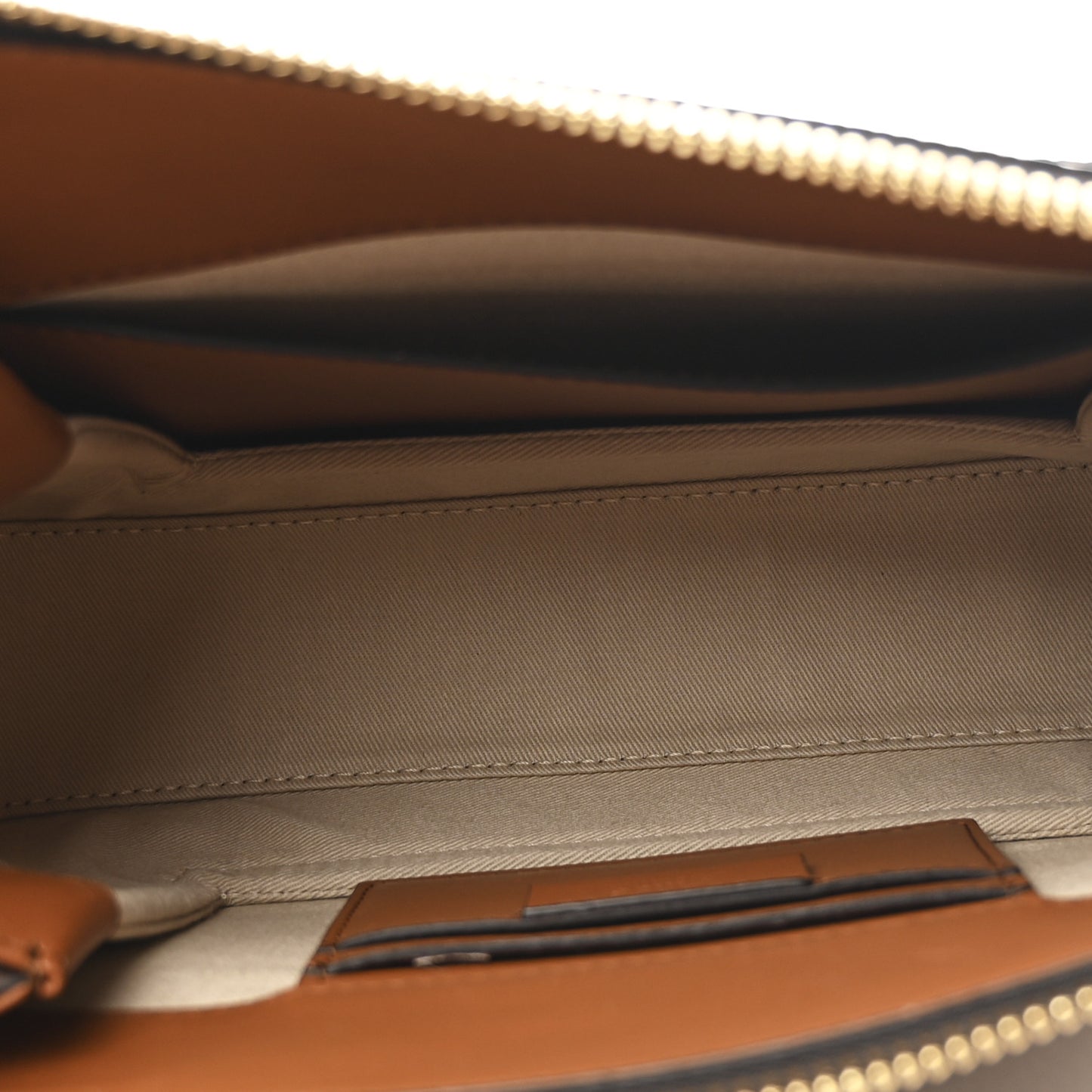 Calfskin Snakeskin Embossed Small Roy Bag Multicolor