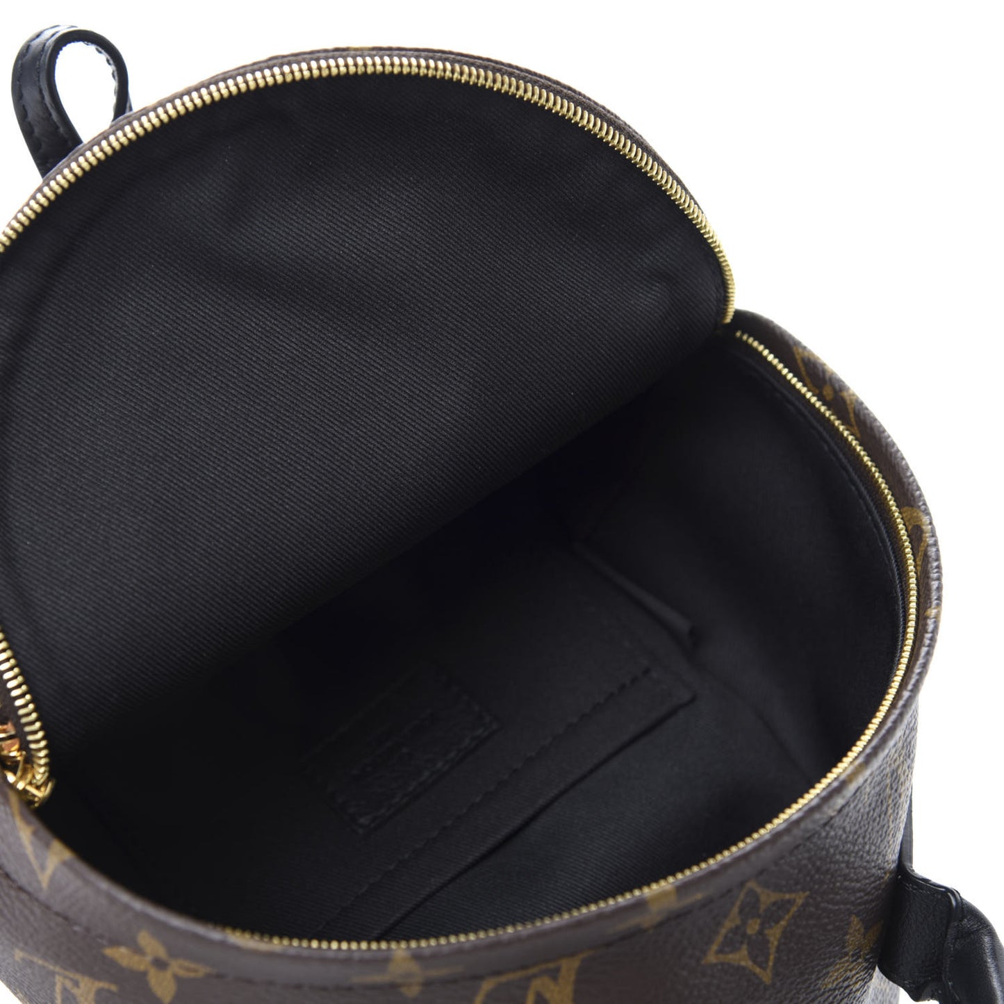 Monogram Palm Springs Backpack Mini