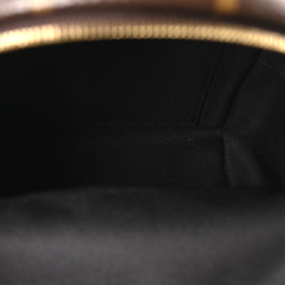 Louis Vuitton Monogram Palm Springs Backpack Mini 4 of 8
