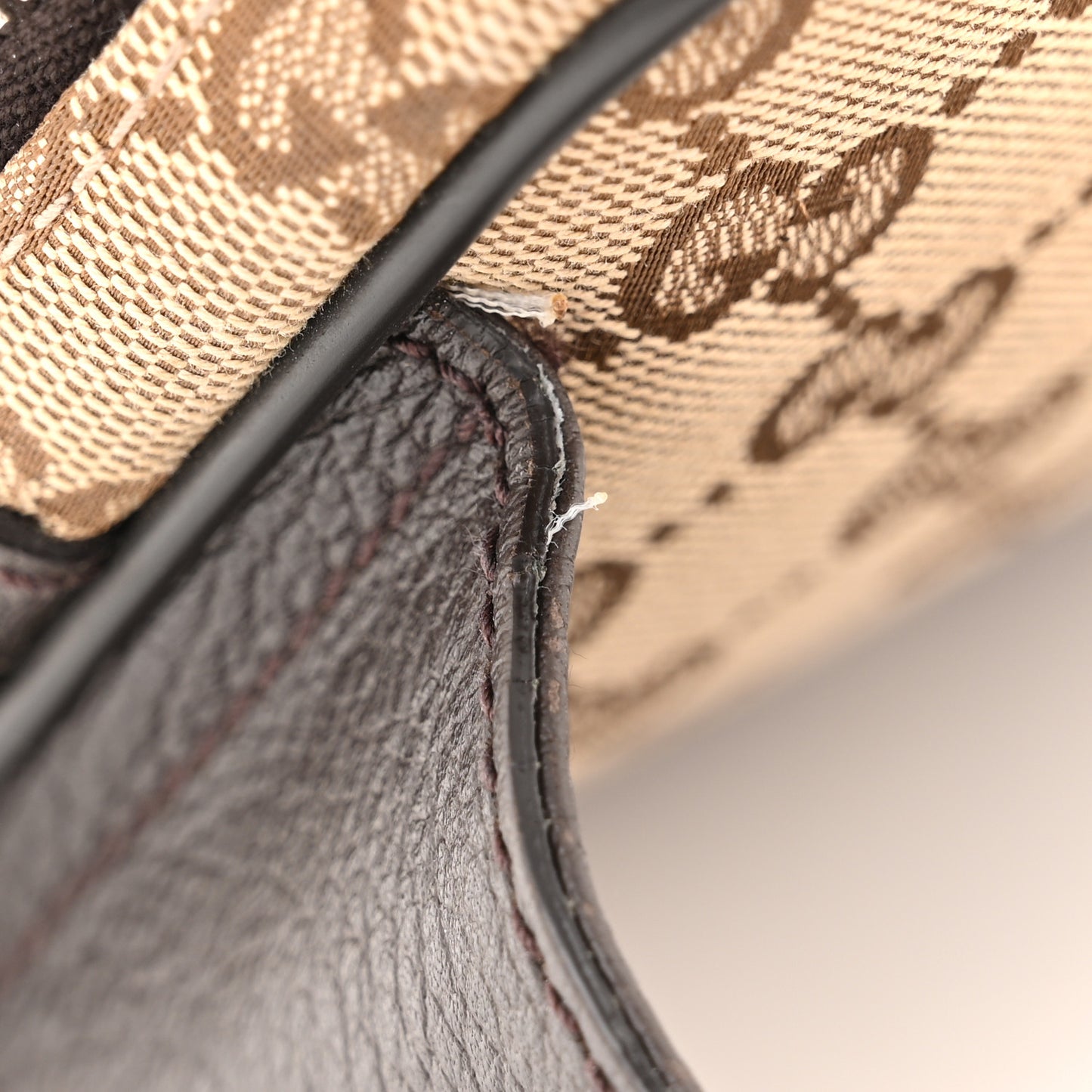 Monogram Dollar Calfskin Belt Bag Beige Ebony Testa di Moro Marrone Scuro