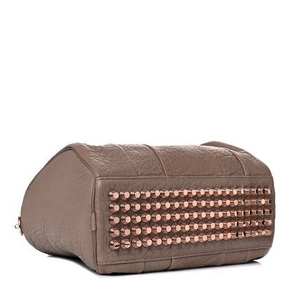 Alexander Wang Pebbled Lambskin Rocco Latte Rose Gold Hardware 4 of 12