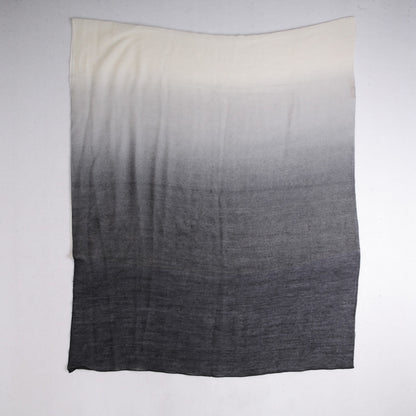 Hermes Cashmere Silk Plume Sunrise Scarf 3 of 5