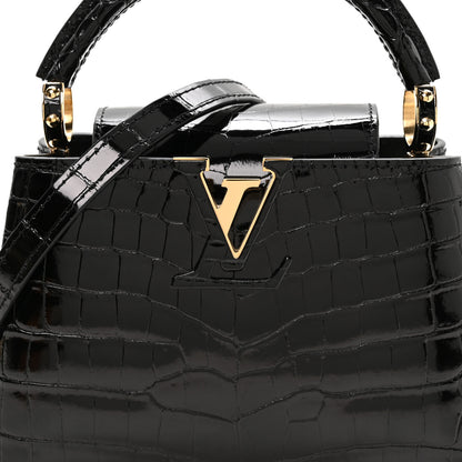 Louis Vuitton Crocodile Mini Capucines Black 8 of 11