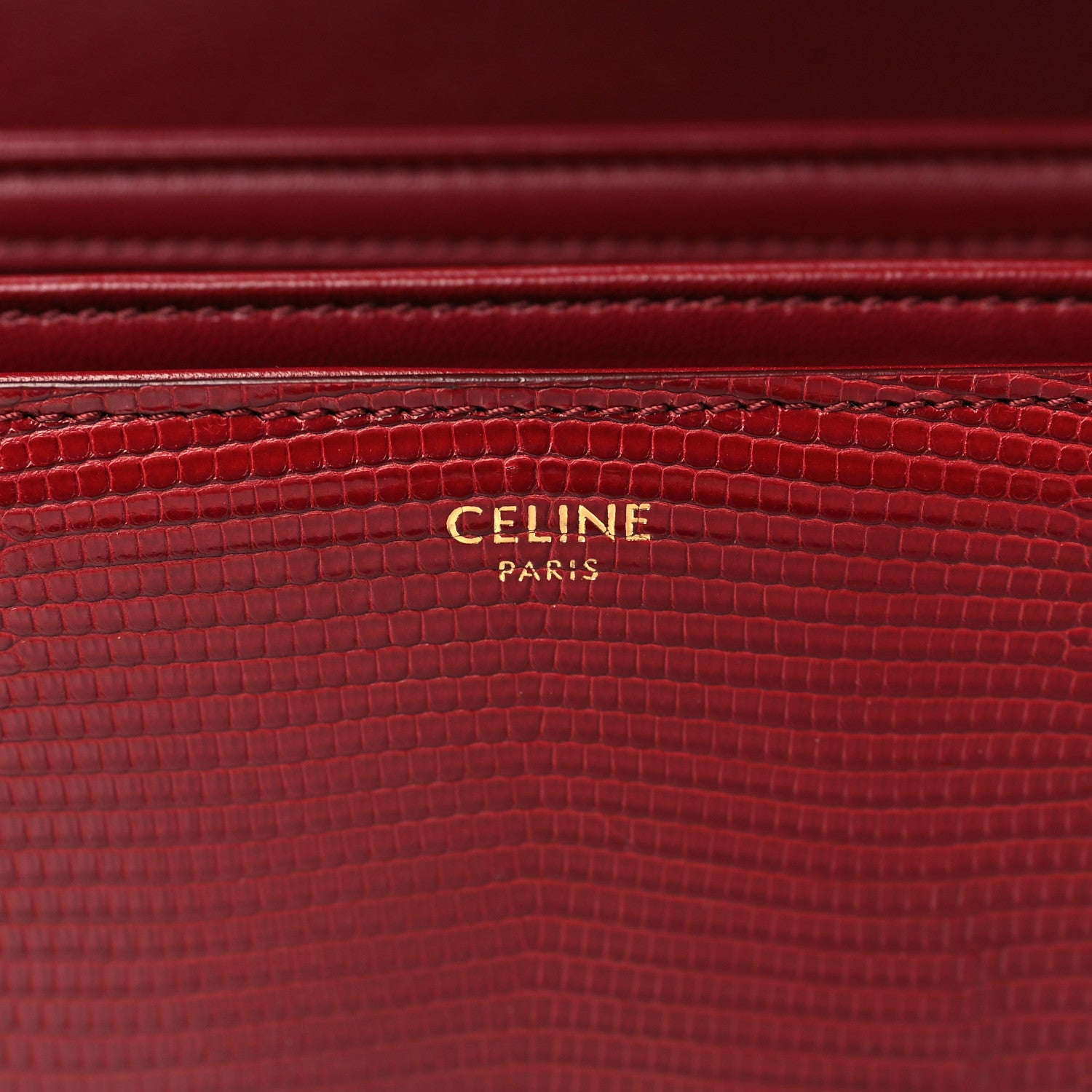 Celine Lizard Medium Triomphe 6 of 9