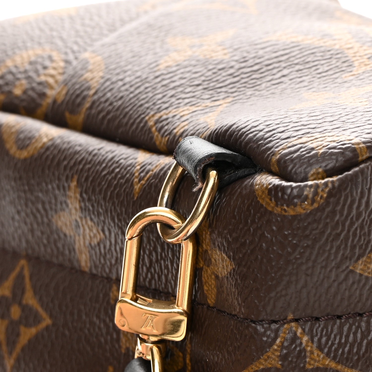 Louis Vuitton Monogram Palm Springs Backpack Mini 14 of 15