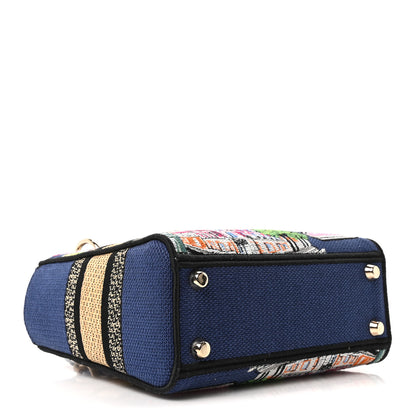 Christian Dior Raffia Embroidered Souvenir Paris Small Lady D-Lite Blue Multicolor 4 of 10